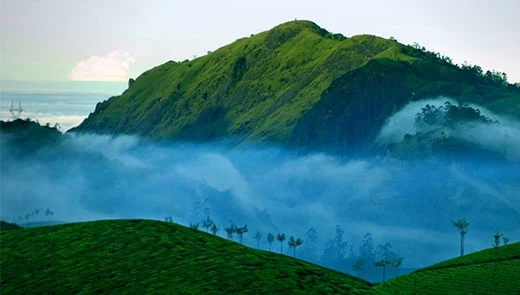 Munnar Thekkady Alleppey Tour